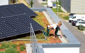 Two at one sweep: Fallnet® Rail, the fall protection rail system, is also anchored in the Solar Bases. Roof gardener on a green roof with photovoltaics